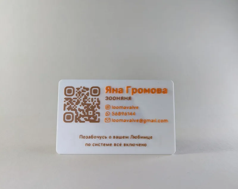 Яна — зооняня
